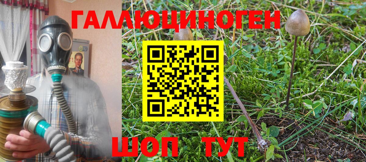 Касимов  Галлюциногенные грибы GOLDEN TEACHER  Галлюциногенные грибы MAGIC MUSHROOMS  Вход с VPN 